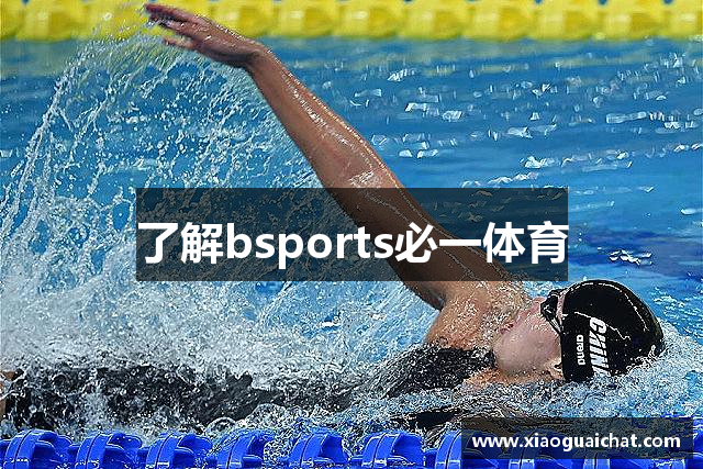 了解bsports必一体育